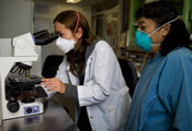Female researcher in lab coat and surgical mask looks into microscope, female close at hand also in mask observes