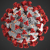 Coronavirus illustration by CDC/ Alissa Eckert, MS; Dan Higgins, MAMS.