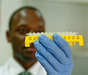 Photo by Richard Lord for Fogarty. Researcher working in lab examines samples.