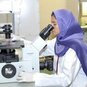 Woman researcher in lab working with large microscope, wearing globes, white lab coat and bright purple head scarf