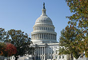 U.S. Capitol dome in the fall