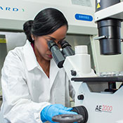 Photo courtesy of University of the West Indies. Female researchers works in a lab with a microscope.