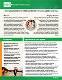 Fact sheet on Developing Solutions for Childhood Obesity