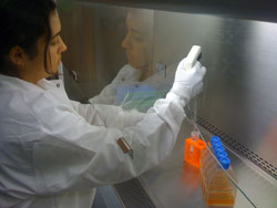 PHOTO: A young woman in a lab coat extracts DNA in a laboratory
