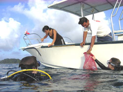 Researches in a boat on the water reach for samples collected by divers