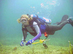 PHOTO: Dr. Julia Kubanek underwater in a diving suit and scuba gear