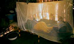 PHOTO: Person sleeps under a white malaria net in a hut