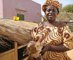 Photo: Woman with head wrap and dress in vibrant matching pattern holds chicken in front of cart full of hay