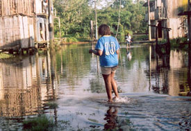 Woman walks through flooded street, water up to her ankles, 2-story wooden buildings on either side of street