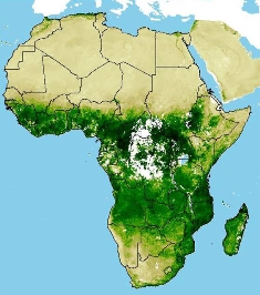 Satellite image of Africa showing vegetation density is higher in shades of green through the mid-section