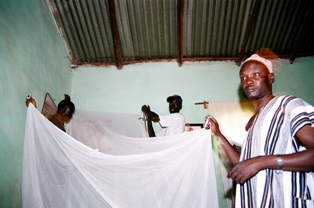 men putting up bedding nets