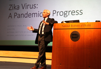 NIAID director Dr Tony Fauci speaking at a podium