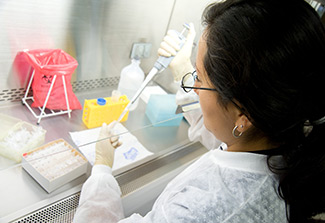 A female researcher prepares samples in the STD lab