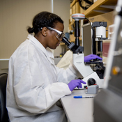 In the photograph a scientist is wearing white lab coat, looking through a microscope.