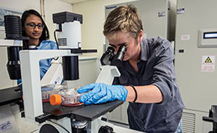 Dr. Penny Moore in lab looks at sample using microscope while Dr. Jinal Bhiman observes