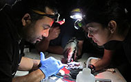 Group of researchers in dark lab wearing headlamps closely examine samples