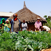 This photo shows Mr. Muktar in front of his keyhole garden at his homestead in Belina Kebele, Fedis Woreda, Oromia Region. The garden is producing vegetables for household consumption. This activity will increase households’ resilience to climate change and contribute to food and nutrition security. Credit USAID in Africa
