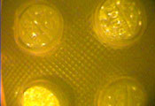 Close up of four pills in pack scanned using FDA tool, yellow glow, fake pills show white spots indicating irregularities