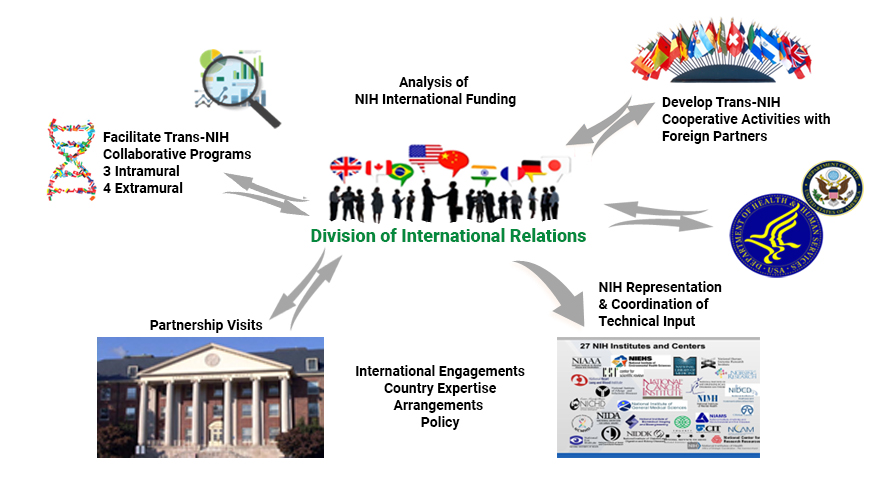 A flowchart graphic highlighting the various functions and responsbilities of the Division of International Relations (DIR) at Fogarty International Center (FIC) with their foreign partners on behalf of National Institutes of Health (NIH).