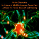 Portion of the poster for a meeting on brain disorders in LMICs