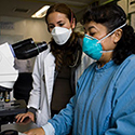 Two female researchers working in lab with microscrope