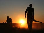 silhouette of person walking into sunset next to a zebra across flat, dusty land