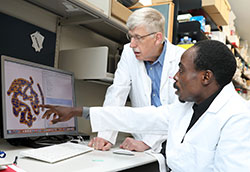 APTI Fellow Idowu Aimola discusses information on a computer screen in a lab with NIH Director Dr. Francis Collins.