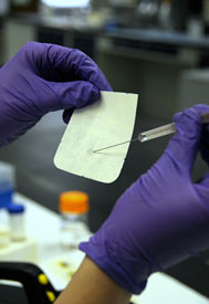 Close up of hands wearing purple disposable gloves, points needle at small piece of paper