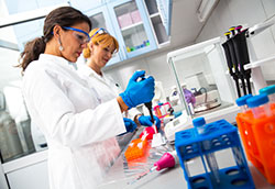 Two female scientists researching in laboratory.