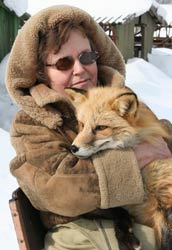 Lyudmila Trut, in thick winter coat, sits on bench, holds fix in her arms, lots of snow on ground in background