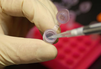 Close up of gloved hands using pipette to store a sample