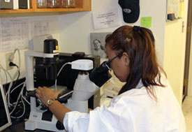 Female researcher in white coat looks in microscope in lab
