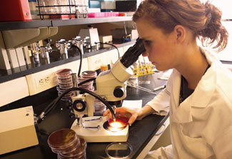 Female researcher in lab wearing white coat looks through microscope at sample in petri dish under bright light