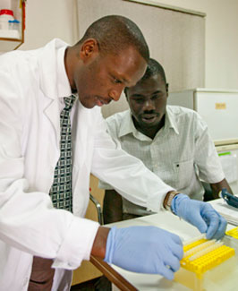 A researcher in a lab wearing lab coat and gloves works with samples, another researcher looks on