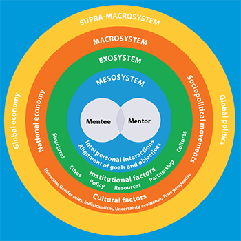 Concentric circles visualize framework for mentorship. Full description at #visualizationdescription.