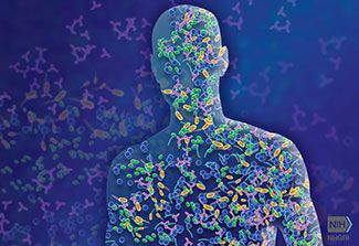 Illustration of an outline of a human covered with colorful bacteria making up the microbiome.