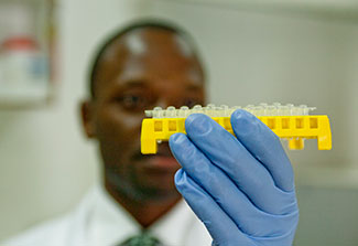 Researcher working in lab examines samples.