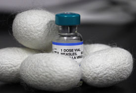 White silk cocoons surround a vial of vaccine