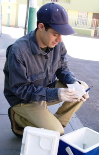 A scientist puts bugs in a cooler to examine them for Chagas disease.